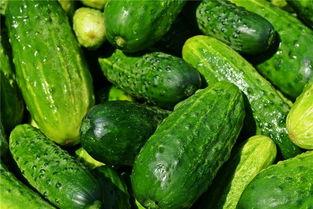 梦见在瓜地里卖瓜吃